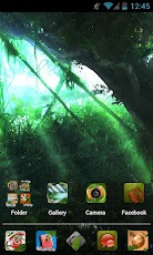 Nature HD Apex/Nova Theme