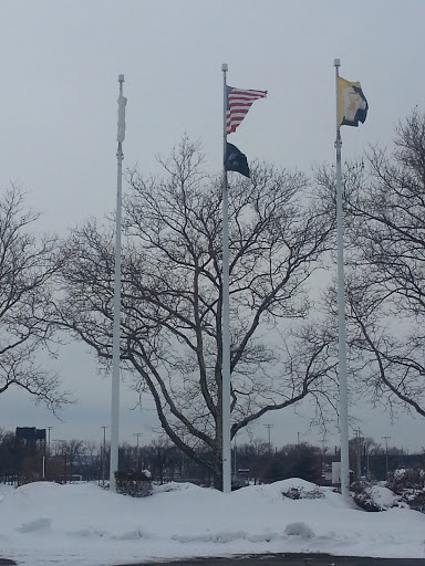 Lincoln Park Flag Poles