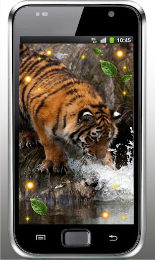 Wild Tigers live wallpaper