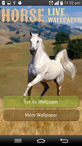 Horse Live wallpaper