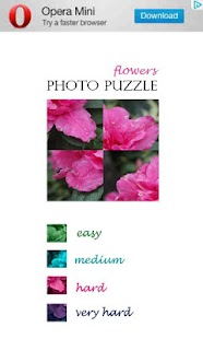 Photo Puzzle - Flowers free