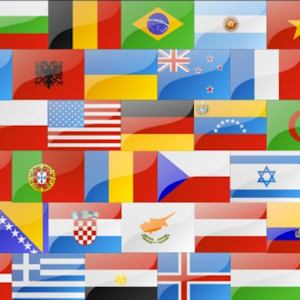 Flags logo