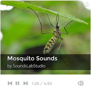 Mosquito Sounds.apk 1.3.2