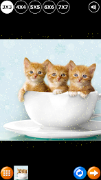 Tile Puzzle: Cute Kittens poster 4