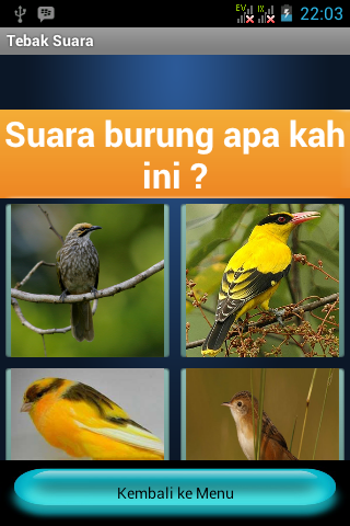 【免費休閒App】Tebak Suara Burung-APP點子