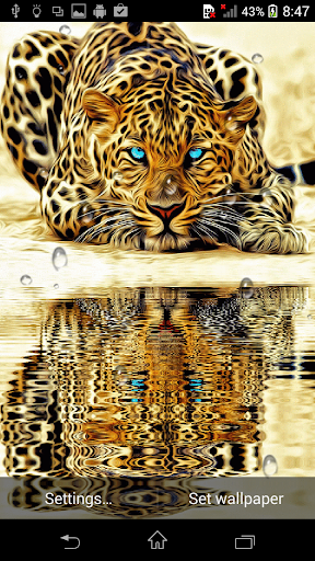 tiger Live Wallpaper