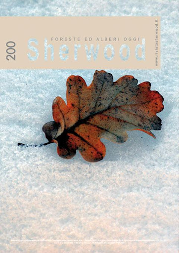 Sherwood-Foreste e Alberi Oggi