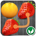 Fruit Link logo