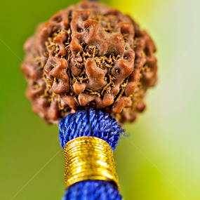 Rudraksha by Balaji Nagarajan - Artistic Objects Other Objects