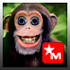 Funny Monkeys