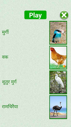 免費下載教育APP|Flashcards Hindi Lesson app開箱文|APP開箱王