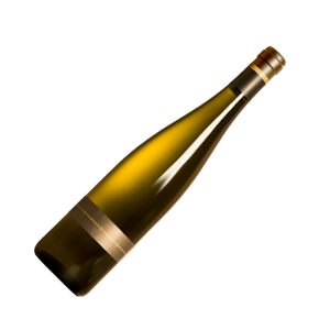 Spin the Bottle 1.0.2