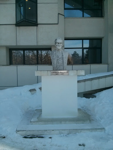 Bustul George Bacovia