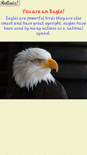 Free What Animal Are You Quiz APK