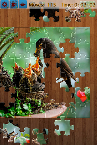 Birds Jigsaw Puzzles Game