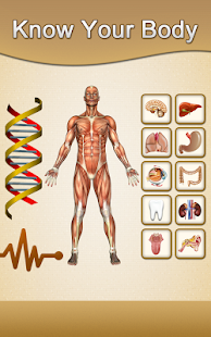 Know Your Body Screenshots 16