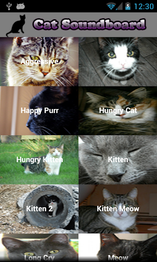 Cat Ringtones