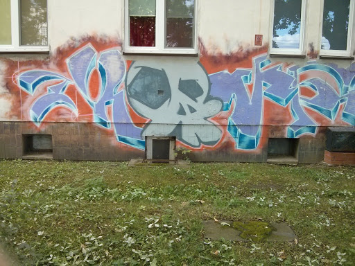 Grey Skull Mural