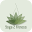 Yoga 2 Fitness Download on Windows
