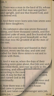 Book of Job Screenshots 2
