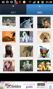 How to download Dog Ringtones 1.5 mod apk for bluestacks