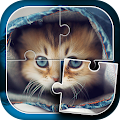 Cute Cats Jigsaw Puzzle Apk