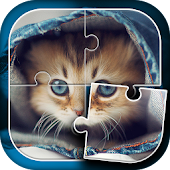 Kucing Lucu Permainan Puzzle