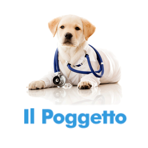 Il Poggetto 商業 App LOGO-APP開箱王