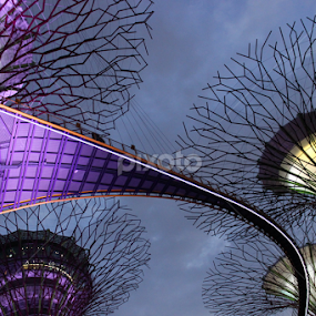 by Octo Winarto - City,  Street & Park City Parks