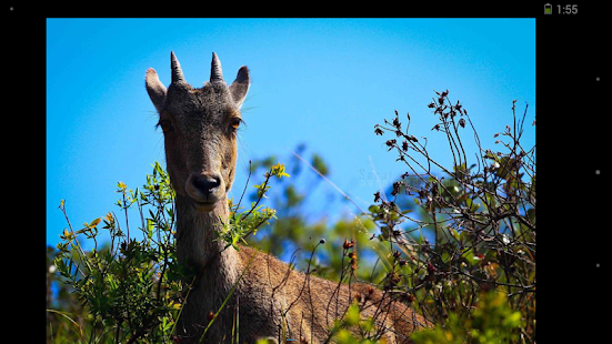 How to mod Sarat Veda photography 1.0 mod apk for bluestacks