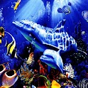 3D sea  and  Dolphin