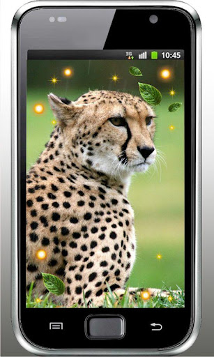 Leopard Free live wallpaper