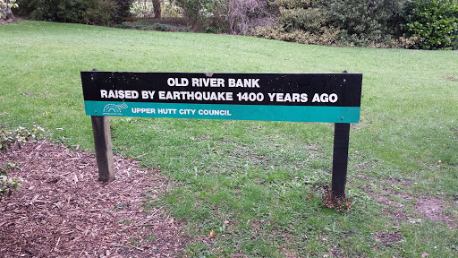 Old River Bank