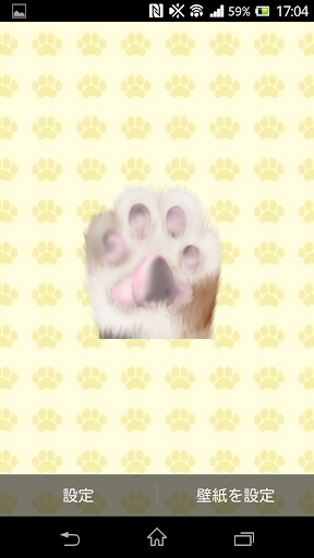 Paw