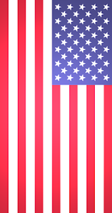 How to get Flashlight of the USA 1.1 apk for pc