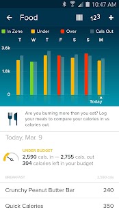   Fitbit- screenshot thumbnail   