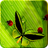 Friendly Bugs Free L.Wallpaper