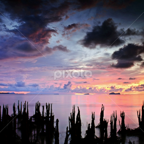 Forever Dreaming by Sim Sherina - Landscapes Sunsets & Sunrises