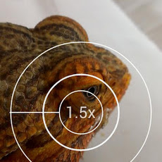 Snap Camera HDR v4.6.2 Apk