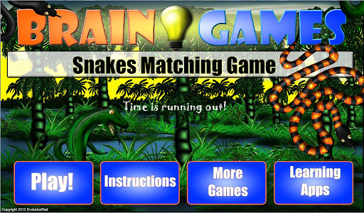 Snakes Matching Game