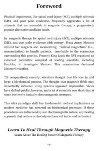 Magnetic Therapy Screenshots 2