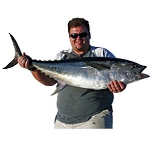 Guide to Fishing Brisbane QLD.apk 1.02