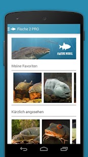 Download Fish 2 LITE - Field Guide APK for Android