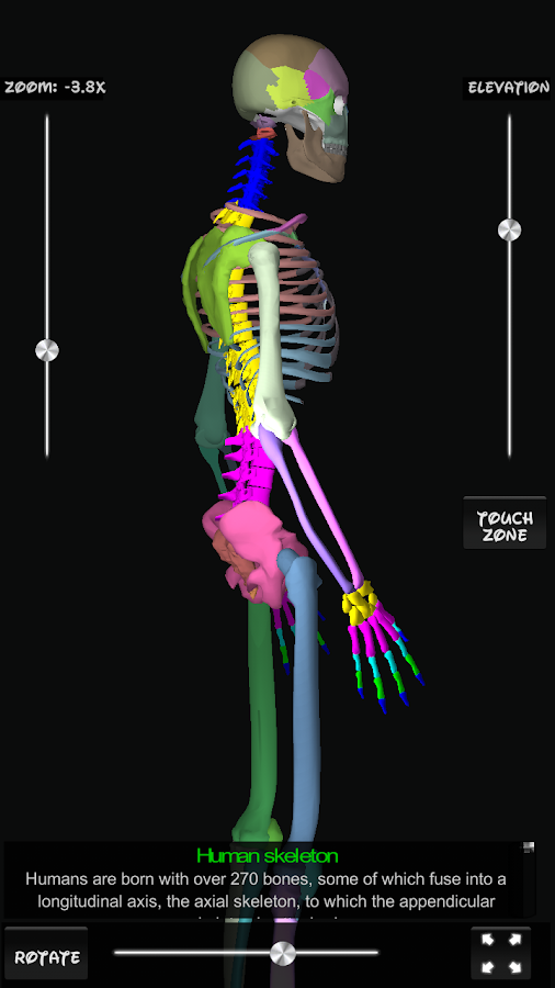 Bones Human 3D (anatomy) - Android Apps on Google Play