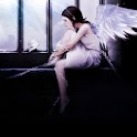 Romantic dream wallpapers-01 logo