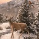Deer n Bird In Winter Forest
