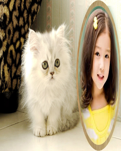 免費下載攝影APP|photo frames cat pic frame app開箱文|APP開箱王