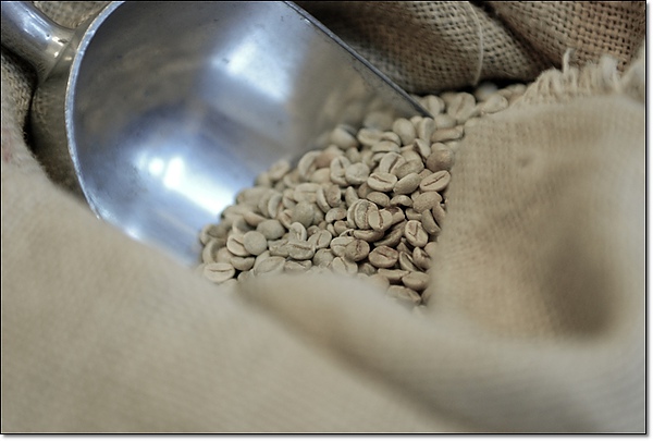 台南 東區 - 洋森咖啡 [咖啡館]