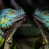 by Renos Hadjikyriacou -  