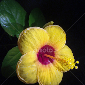 by Praveen Chand - Instagram & Mobile iPhone